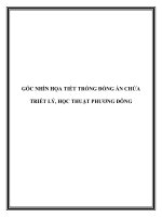 GÓC NHÌN HỌA TIẾT TRỐNG ĐỒNG ẨN CHỨA TRIẾT LÝ, HỌC THUẬT MỸ THUẬT PHƯƠNG ĐÔNG potx