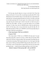 NÂNG CAO NĂNG lực  THANH TOÁN QUỐC tế của các NGÂN HÀNG THƯƠNG mại VIỆT NAM   TS  TRẦN NGUYỄN hợp CHÂU