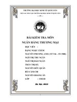 NỢ XẤU CỦA NGÂN HÀNG THƯƠNG MẠI VIỆT NAM: THỰC TRẠNG VÀ NGUYÊN NHÂN CƠ BẢN