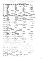 Đề thi chọn học sinh năng khiếu lớp 6 năm 2012 - 2013 môn tiếng anh ppt