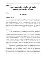 LỰA CHỌN ĐẦU TƯ CỦA CÁ NHÂN TRONG ĐIỀU KIỆN RỦI RO