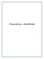 4 Loại nước ép… chữa hôi nách pdf