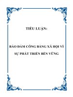 TIỂU LUẬN: BẢO ĐẢM CÔNG BẰNG XÃ HỘI VÌ SỰ PHÁT TRIỂN BỀN VỮNG pdf