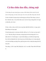 Cá thu chữa đau đầu, chóng mặt pot