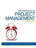 The Principles of Project Management pptx