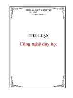 TIỂU LUẬN: Công nghệ dạy học docx
