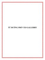 TỪ ĐƯỜNG PHỐ VÀO GALLERRY ppt