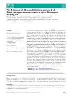 Báo cáo khoa học: The A domain of ﬁbronectin-binding protein B of Staphylococcus aureus contains a novel ﬁbronectin binding site pdf