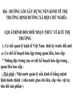 Đường lối phát triển kinh tế thị trường pdf