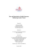 Men and Reproductive Health Programs: Influencing Gender Norms ppt