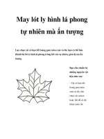 May lót ly hình lá phong tự nhiên mà ấn tượng potx