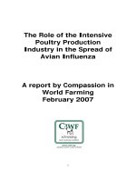 The Role of the Intensive Poultry Production Industry in the Spread of Avian Influenza pptx