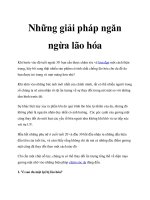 Những giải pháp ngăn ngừa lão hóa pdf