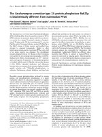 Báo cáo Y học: The Saccharomyces cerevisiae type 2A protein phosphatase Pph22p is biochemically different from mammalian PP2A potx