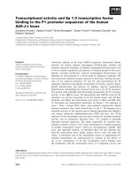Báo cáo khoa học: Transcriptional activity and Sp 1⁄3 transcription factor binding to the P1 promoter sequences of the human AbH-J-J locus docx