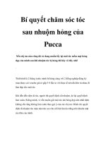 Bí quyết chăm sóc tóc sau nhuộm hỏng của Pucca docx