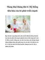 Mang thai tháng thứ 6: Hệ thống tiêu hóa của bé phát triển mạnh potx
