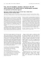 Báo cáo khoa học: H2O2, but not menadione, provokes a decrease in the ATP and an increase in the inosine levels in Saccharomyces cerevisiae An experimental and theoretical approach pot