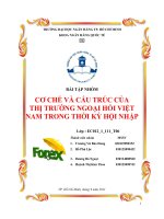 Tiêu luận: CƠ CHẾ VÀ CẤU TRÚC CỦA THỊ TRƯỜNG NGOẠI HỐI VIỆT NAM TRONG THỜI KỲ HỘI NHẬP pot