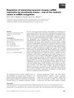 Báo cáo khoa học: Regulation of luteinizing hormone receptor mRNA expression by mevalonate kinase – role of the catalytic center in mRNA recognition potx