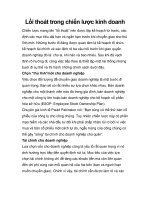 Lối thoát trong chiến lược kinh doanh doc