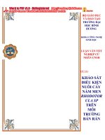 khảo sát điều kiện nuôi cấy nấm men rhodotor ula sp trên môi trường bán rắn