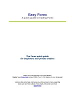 Easy Forex a quick to trading forex pot