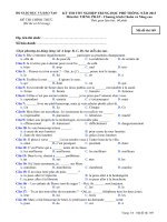 Đề thi - Đáp án môn Tiếng Pháp - Tốt nghiệp THPT Chương trình Chuẩn và Nâng cao ( 2013 ) Mã đề 169 ppt