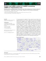 Báo cáo khoa học: Protein and mRNA content of TcDHH1-containing mRNPs in Trypanosoma cruzi pdf
