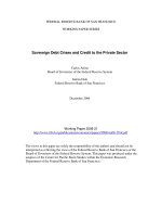 Sovereign Debt Crises and Credit to the Private Sector pptx
