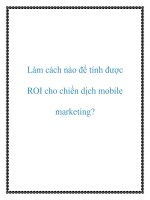 Làm cách nào để tính được ROI cho chiến dịch mobile marketing? ppt