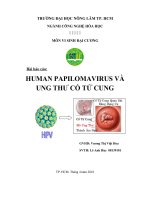 LÊ ANH HUY-VIRUS HPV VÀ UNG THƯ CỔ TỬ CUNG docx