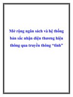 Mở rộng ngân sách và hệ thống bản sắc nhận diện thương hiệu thông qua truyền thông “tĩnh” ppt