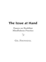 The Issue At Hand - Essays On Buddhist Mindfulness Practice pot