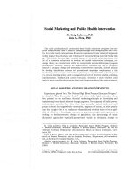 Social Marketing And Public Health Intervention pot