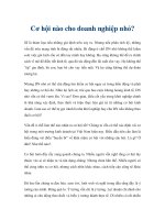 Cơ hội nào cho doanh nghiệp nhỏ? pptx