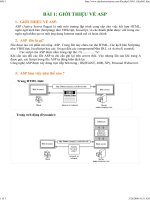 GIỚI THIỆU VỀ ASP pot