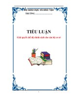 TIỂU LUẬN: Giải quyết chế độ chính sách cho cán bộ cơ sở ppt