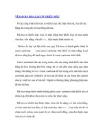 VÌ SAO ĐÁ HOA LẠI CÓ NHIỂU MÀU pdf