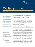 Policy Responses to the Global Economic Crisis in Africa pot
