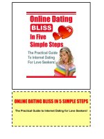 Online Dating Bliss in 5 Steps pptx