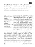 Báo cáo khoa học: Molecular cloning, expression analysis and functional conﬁrmation of ecdysone receptor and ultraspiracle from the Colorado potato beetle Leptinotarsa decemlineata pdf