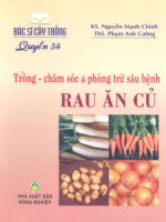 trồng chăm sóc và phòng trừ sâu bệnh rau ăn củ