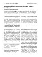 Báo cáo khoa học: Cholecystokinin rapidly stimulates CrkII function in vivo in rat pancreatic acini Formation of CrkII–protein complexes docx