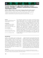 Báo cáo khoa học: Crystal structure of a glycoside hydrolase family 6 enzyme, CcCel6C, a cellulase constitutively produced by Coprinopsis cinerea pot