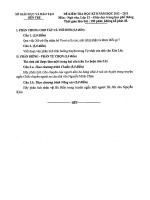 Đề thi Ngữ Văn K12 HKII 2012 - 2013