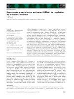 Báo cáo khoa học: Hepatocyte growth factor activator (HGFA): its regulation by protein C inhibitor ppt