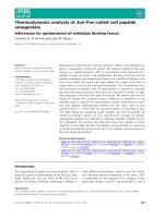 Báo cáo khoa học: Thermodynamic analysis of Jun–Fos coiled coil peptide antagonists pdf