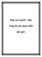 Đẹp rợn người - khu rừng đá sắc nhọn nhất thế giới ppt