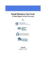 Small Business Survival: A Joint Report to the Governor pot